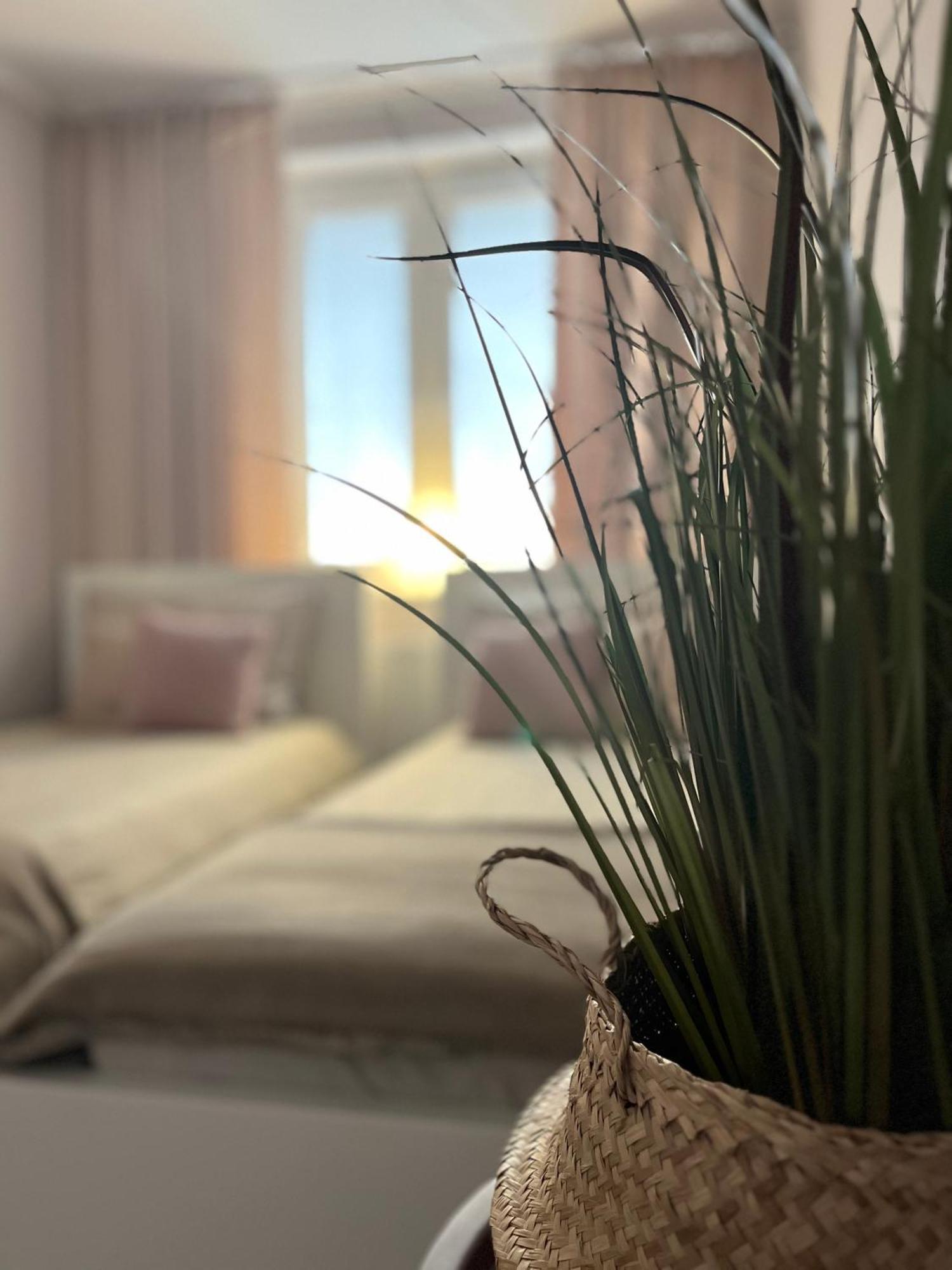 Apartament Przy Obserwatorium&Singielnia Olsztyn  Extérieur photo
